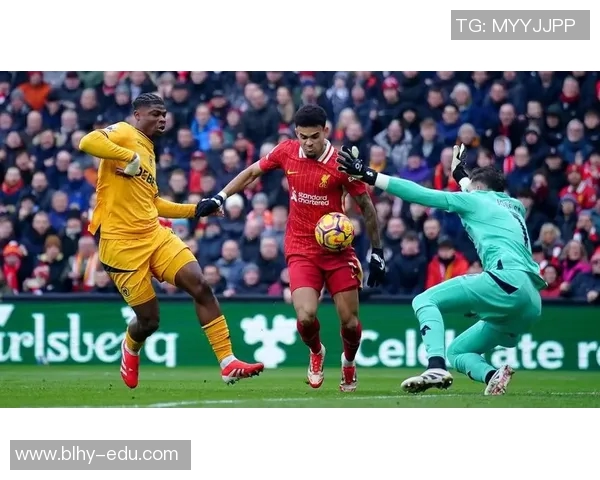 布鲁诺·佩雷拉45天梦碎莫利纽克斯,狼队英超最短命续约主帅留下保级警示 布鲁诺·佩雷拉45天梦碎莫利纽克斯,狼队英超最短命续约主帅留下保级警示